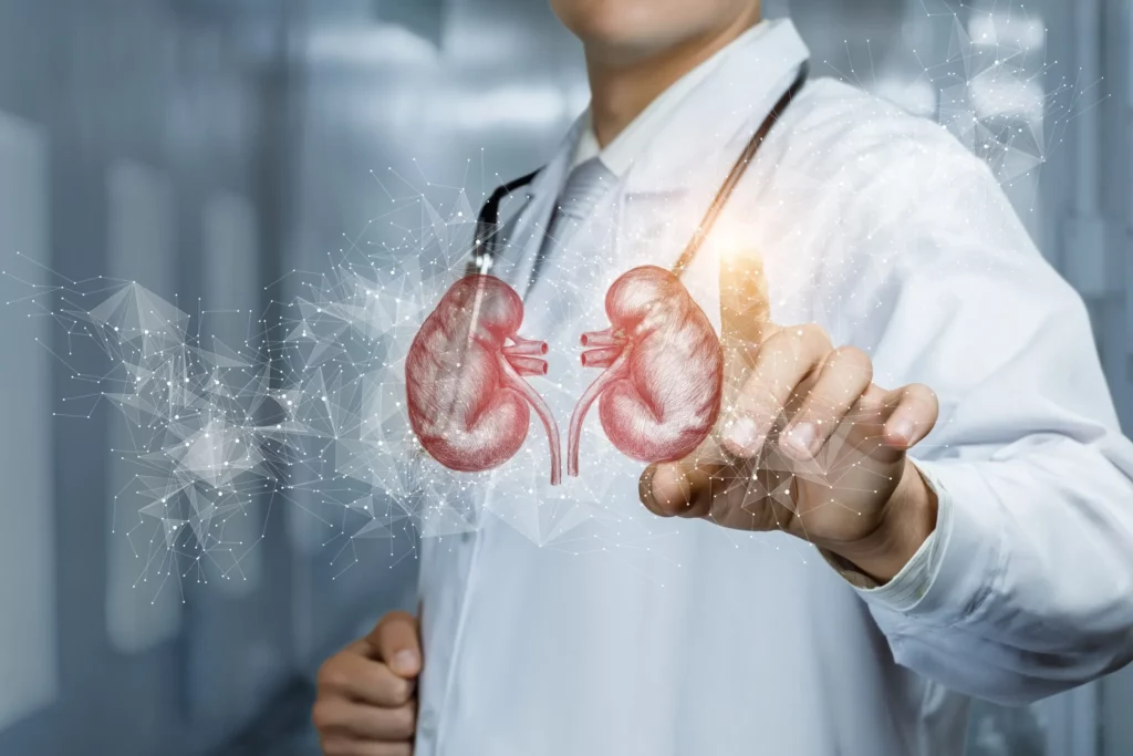 Kidney care infographic showing treatment path for kidney disease at Maplewood MN