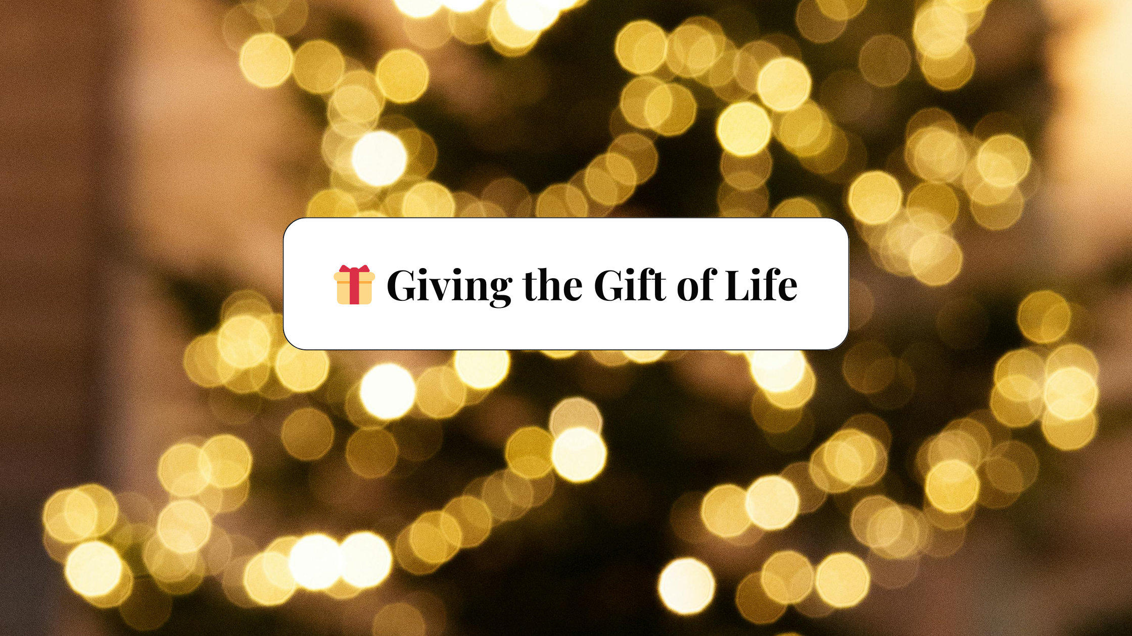 🎁 Giving The Gift Of Life Over 90,000 People In The U.s. Are Waiting For A Kidney Transplant. This Season, Dr. Doyle Shares How One Decision Can Change A Life Forever. (blog Banner)