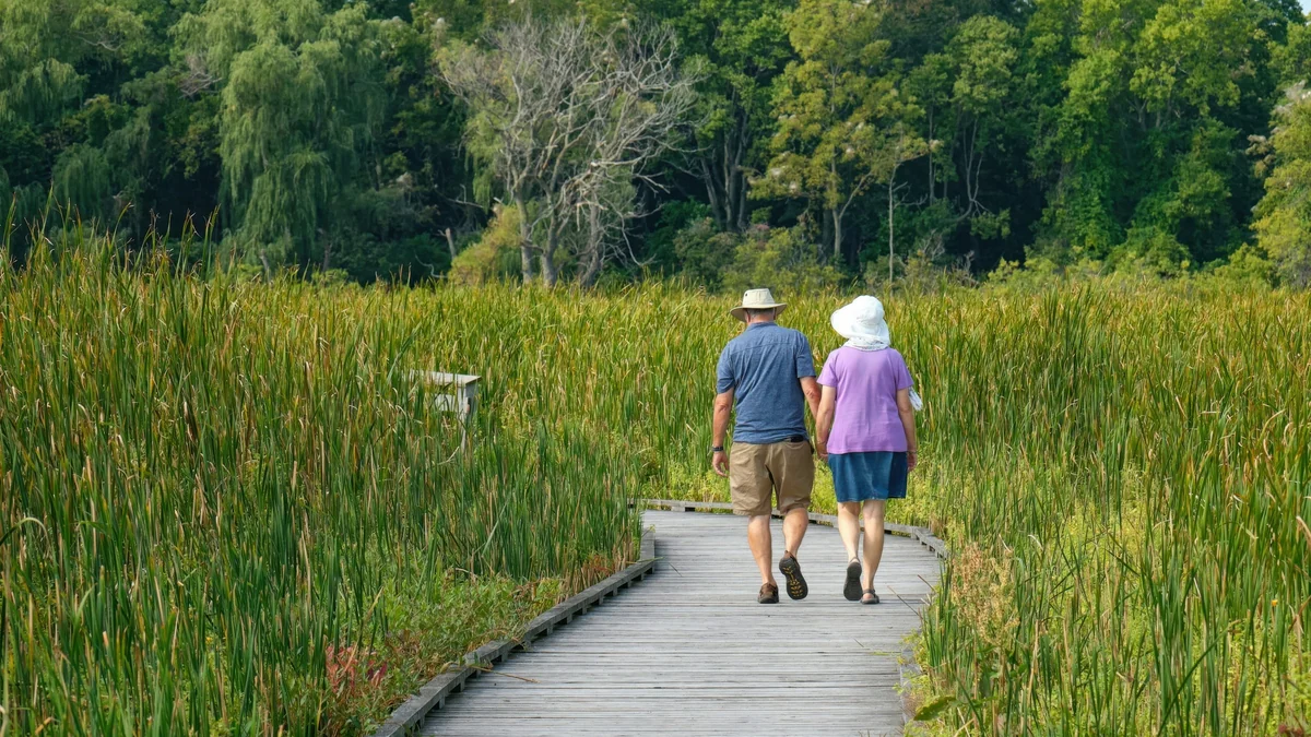 Older couple walking together on a boardwalk through a green field
